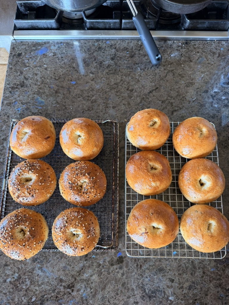 Golden sourdough bagels fresh from the oven